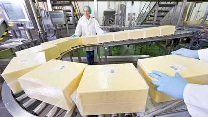 恒天然斥資2000萬擴建工廠，全力擁抱中國奶酪市場新浪潮